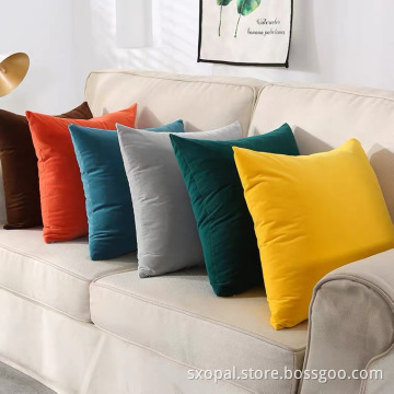 Plain Dyeing And Printed Pillow